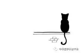 每天都在洗，皮肤这道“城墙”是怎样建成的