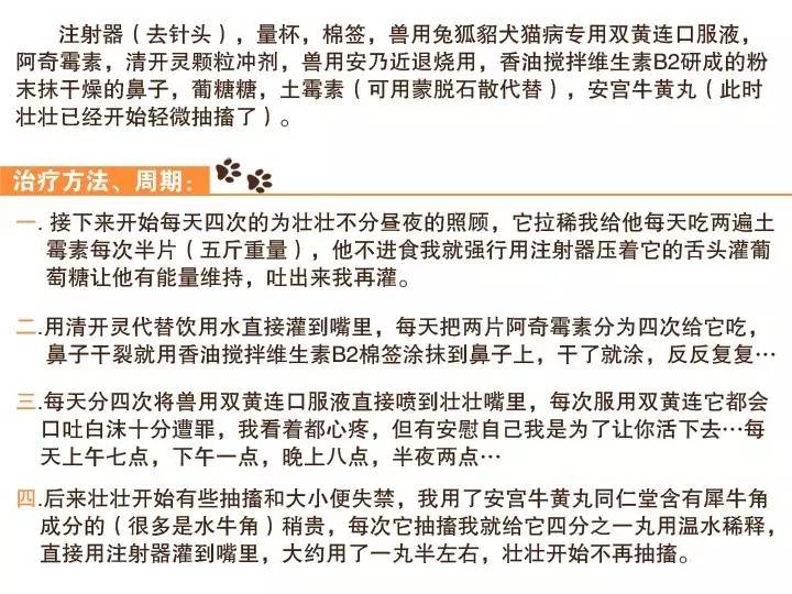 无证的兽医可以看病吗,无证兽医需要承担什么责任