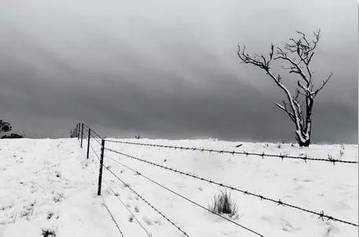 低温起作用的肥料,低温雨雪冷冻天气对农业的影响