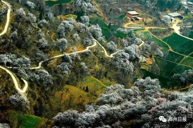 郑州旅游年卡2023怎么办理,郑州旅游年卡在哪里办