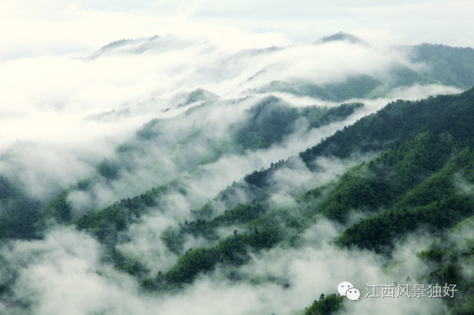 最美云海,人间仙境在江西