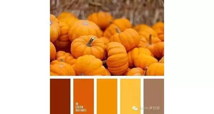 网红爆款南瓜色,深扒网红食物