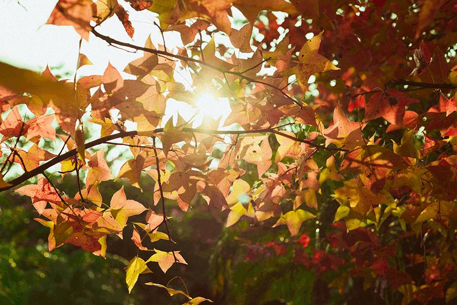 这几天千万不要来北师珠!