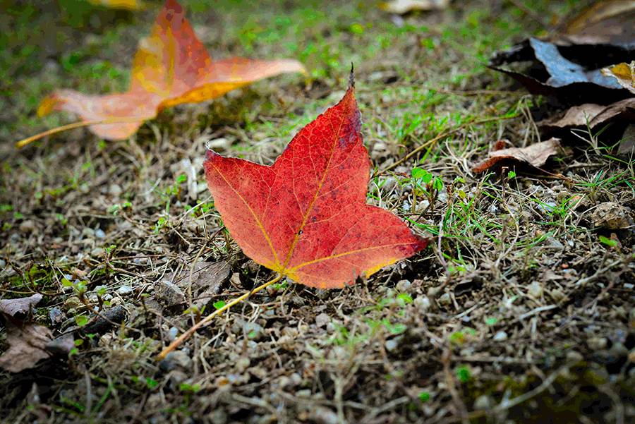 这几天千万不要来北师珠!