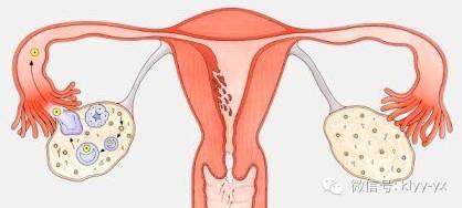 「分娩前后」头胎剖二胎想顺?看看您符合条件吗?