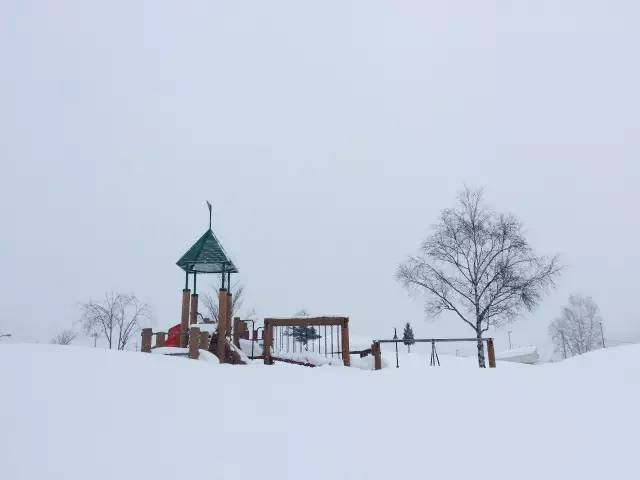 北海道玩雪装备,有了这些装备天台露营也能秀硬菜