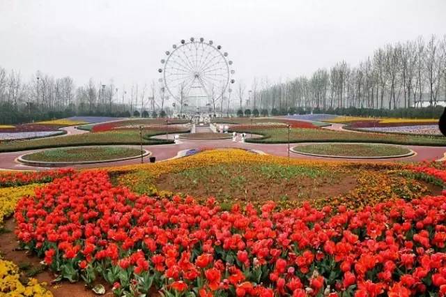 16天后，只要刷手机就能进南京公园！办理方法看这里~