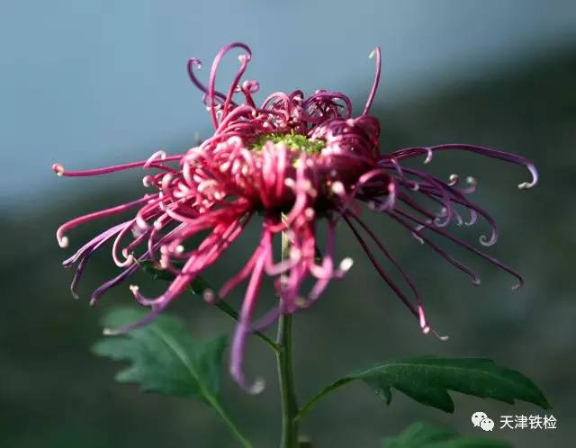 鍜岃皭鑷劧鎽勫奖浣滃搧娆h祻,鍜岃皭鑷劧鎽勫奖浣滃搧