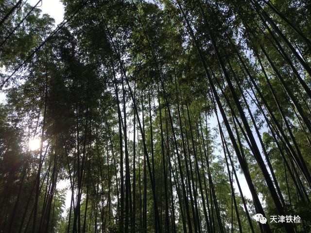 鍜岃皭鑷劧鎽勫奖浣滃搧娆h祻,鍜岃皭鑷劧鎽勫奖浣滃搧