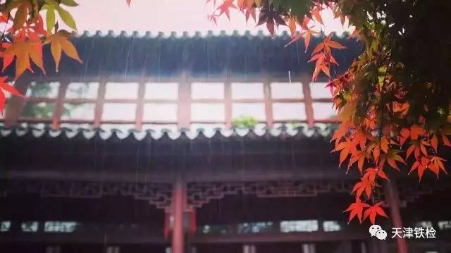 鍜岃皭鑷劧鎽勫奖浣滃搧娆h祻,鍜岃皭鑷劧鎽勫奖浣滃搧