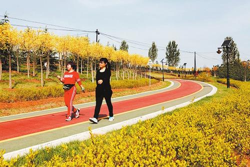 悠然阳城全景图,悠然游阳城