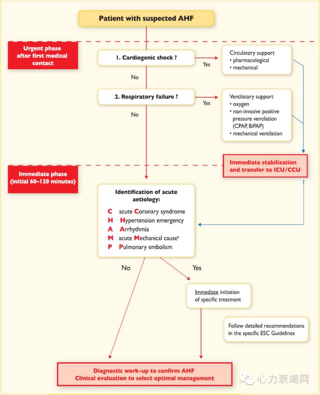 心衰专家张健,中国心衰诊断及治疗指南2018