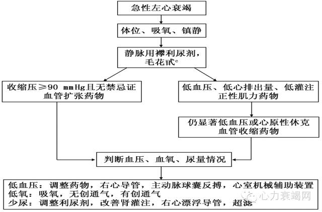 心衰专家张健,中国心衰诊断及治疗指南2018