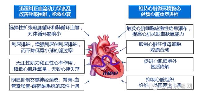 心衰专家张健,中国心衰诊断及治疗指南2018