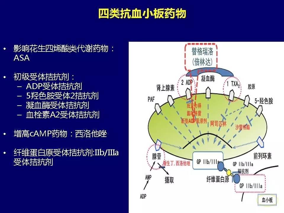 许锋︱冠心病双联抗血小板治疗
