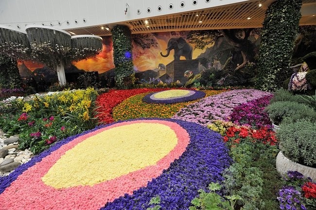 深圳到昆明三个小时,目前从深圳到昆明