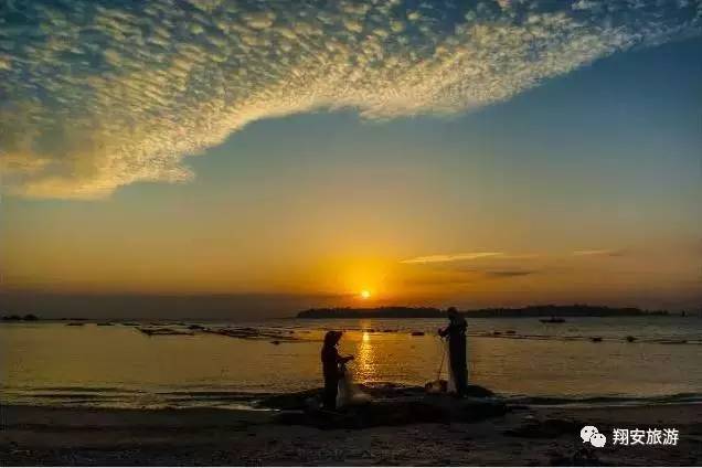 鱼我所欲也,紫菜亦我所欲也~2016翔安海岛旅游节欢乐登场