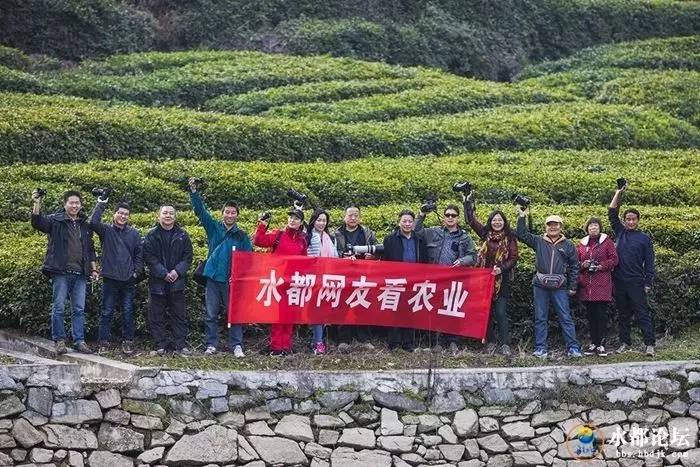 水都网友看农业感受水都新变化