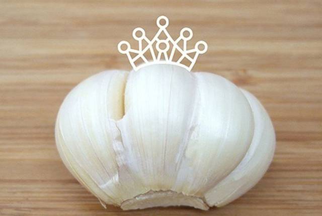 坐着飞机去度假,坐着飞机去过年