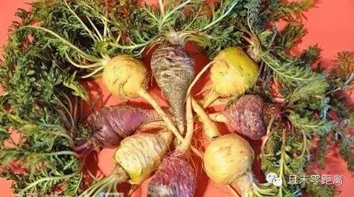 坐着飞机去度假,坐着飞机去过年