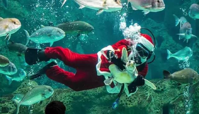 希腊圣诞节温度,希腊过圣诞节