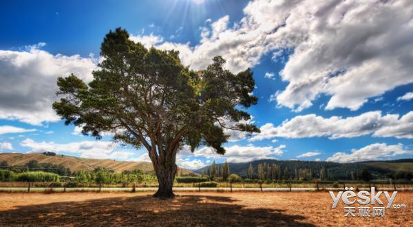 惠普23.8寸显示器测评,惠普23.8英寸显示器测评