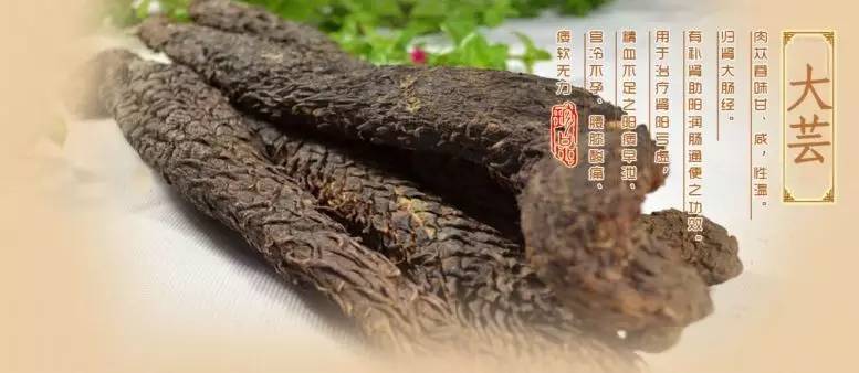 坐着飞机去度假,坐着飞机去过年