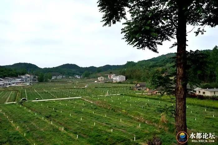 水都网友看农业感受水都新变化