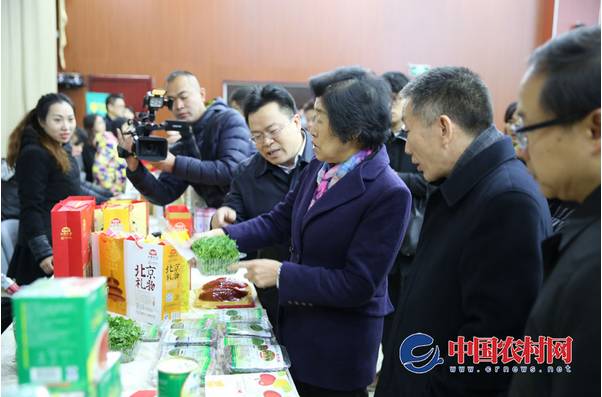 农业展览馆现在有什么展销会,全国农业展览馆夜晚