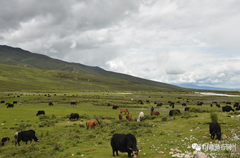 骑行318到尼泊尔,29天骑行川藏之旅