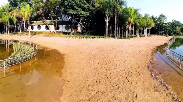 人工沙滩柳州,柳州金沙角人工海滩