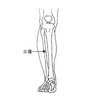 百病皆由痰作祟痰湿体质怎么调理,百病皆由痰湿作祟三味中药祛痰