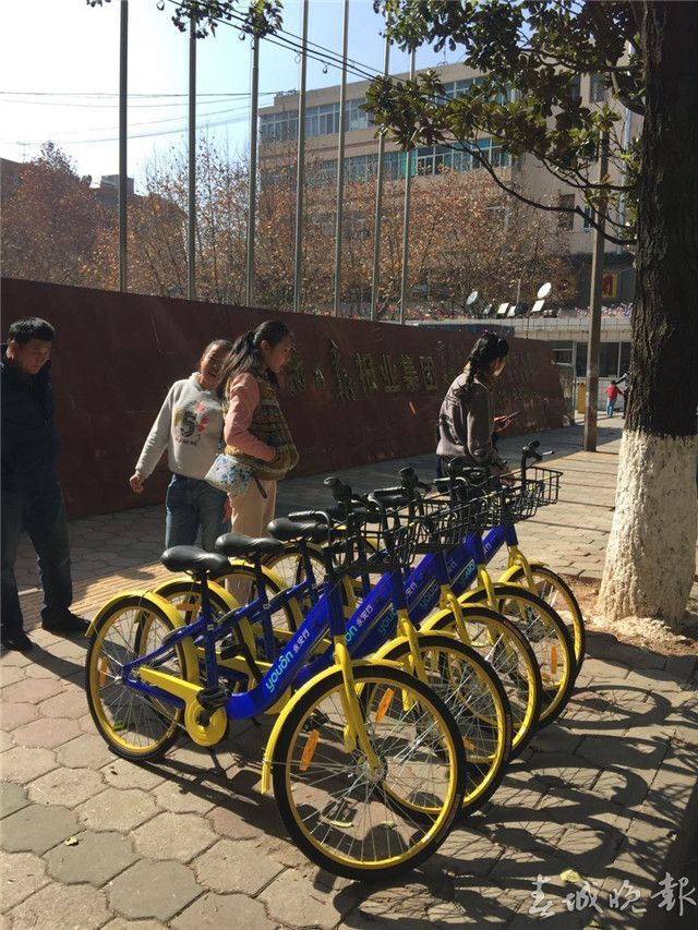 昆明路边扫码租汽车是什么软件,昆明扫码电动车需要押金吗