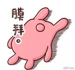 付辛博颖儿综艺节目结局,付辛博颖儿2019