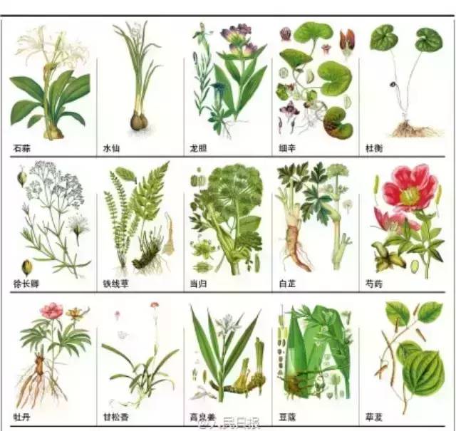 中药药性一览表太珍贵了收藏吧,中药400味药性功效大全值得收藏