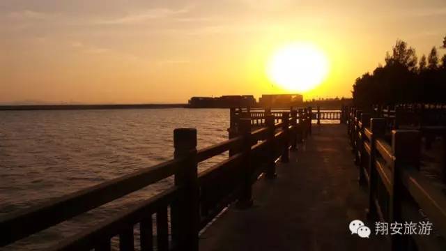 鱼我所欲也,紫菜亦我所欲也~2016翔安海岛旅游节欢乐登场