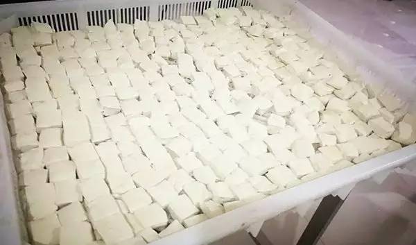 荐读丨微写微拍带上一本书去心灵徒步