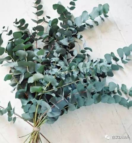 朋友来你家美到哭，手残*党**也能搞定的低价节日餐桌