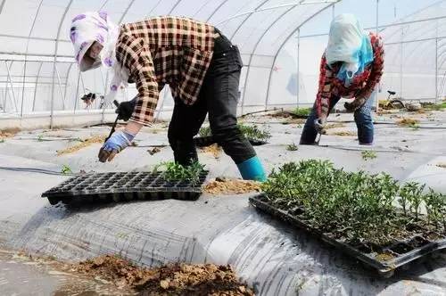 西吉电商创业,西吉扶贫产业园