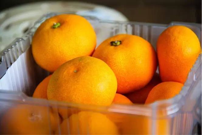 我们采访了四个国家和地区的姑娘们,来认真跟你聊一聊必买保健品这件事