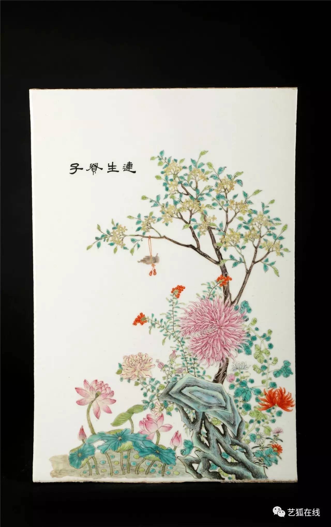 鐡锋潅鎷嶅搧棰勮,鐡锋潅鑷诲搧浣滃搧娆ｈ祻