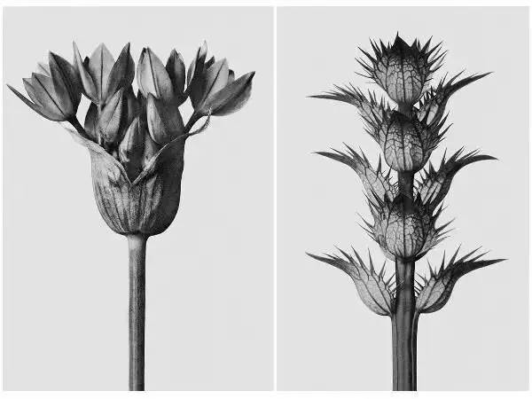 结婚攻略｜快把你的sixgod扔掉，脱单必备经典香水！