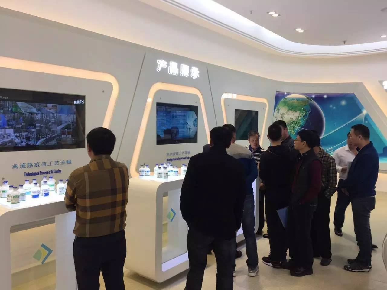 无抗养殖势在必行,无抗养鸡时代