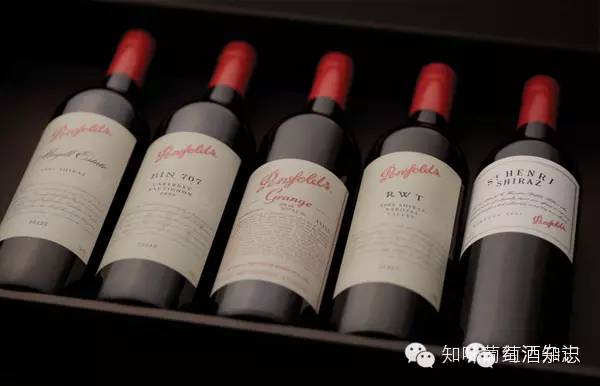 奔富penfolds适合送什么酒,澳大利亚奔富penfolds红酒