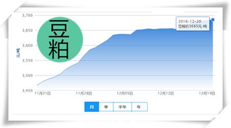 12月27日生猪行情分析,2022年养猪的行情前景如何