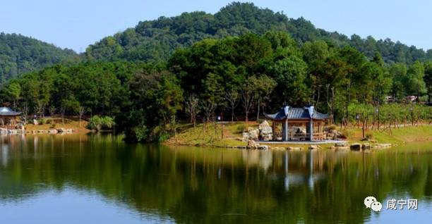 你是正宗咸宁人吗?这十件事就能证明