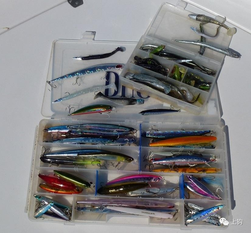 路亚假软饵上钩教程,野钓冷冻饵开饵教学