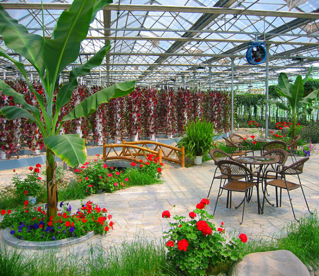 周末去泡温泉的地方,北京最好的私汤温泉小院排行榜