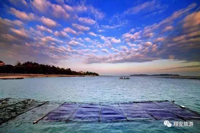 鱼我所欲也,紫菜亦我所欲也~2016翔安海岛旅游节欢乐登场