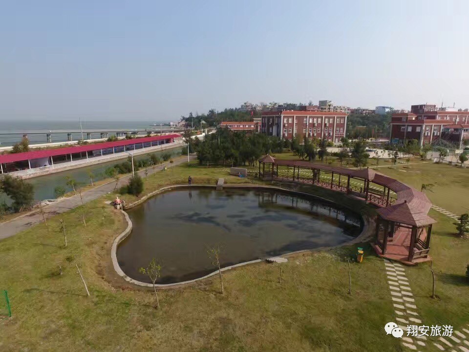 鱼我所欲也,紫菜亦我所欲也~2016翔安海岛旅游节欢乐登场